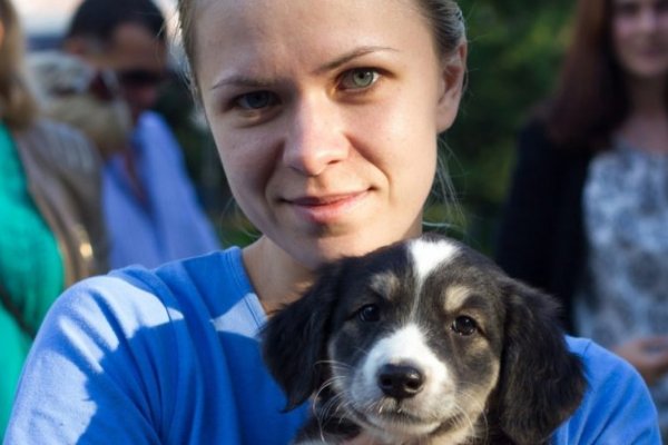 Кракен даркнет тг