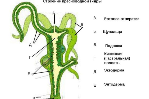 Kraken зеркало krakentor site