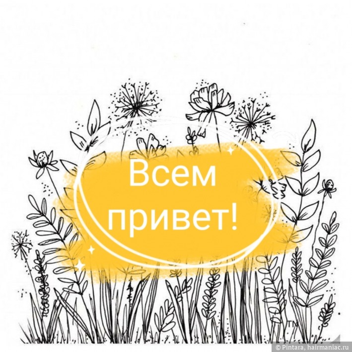 Кракен последние ссылки